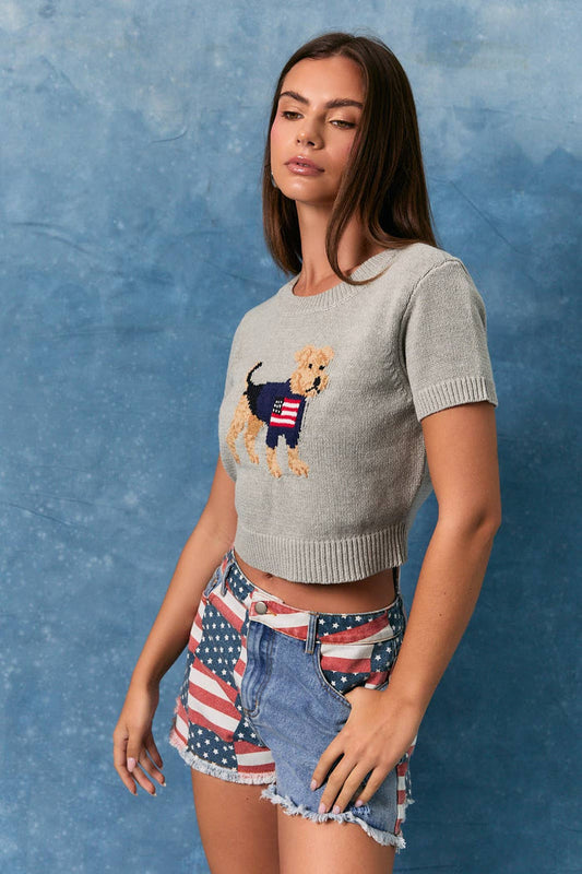 "DOG WITH FLAG" GRAPHIC SHORT SLEEVE CREW NECK SWEATER TOP: H GREY / S