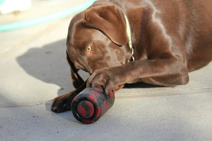 Goughnuts K9 Kup