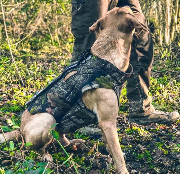 Jack Pyke Technical Neoprene Dog Vest Gen 2