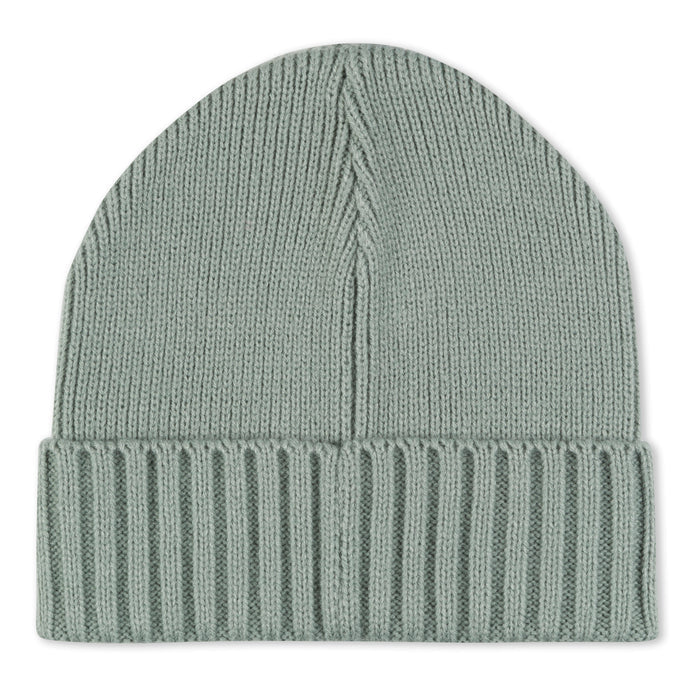 RIPNDIP Lord Nermal Beanie (Sage)