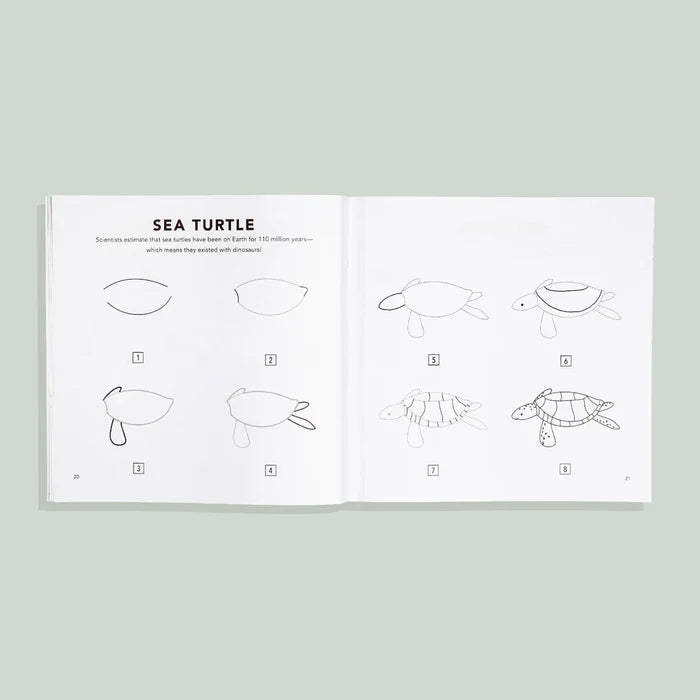 Under the Sea: How to Draw Books for Kids