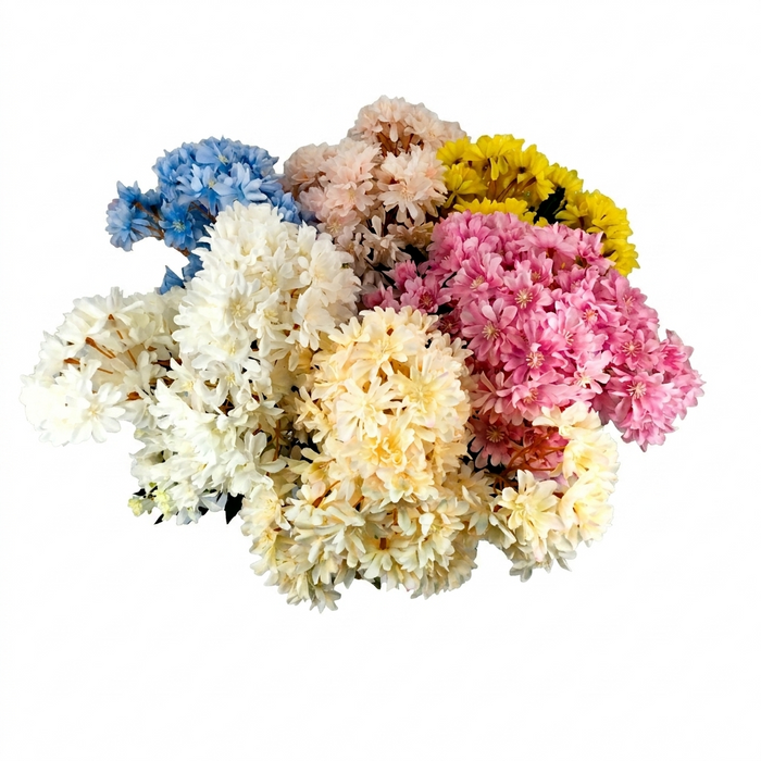 Bouquet of multicolored flowers on a white background
