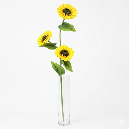 Three sunflowers in a clear vase on a white background