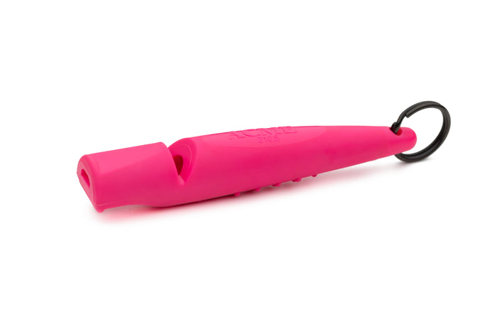 Day Glow Pink