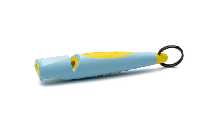 Baby Blue on Yellow