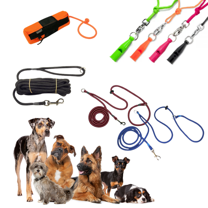 All Breed Starter Training Bundle