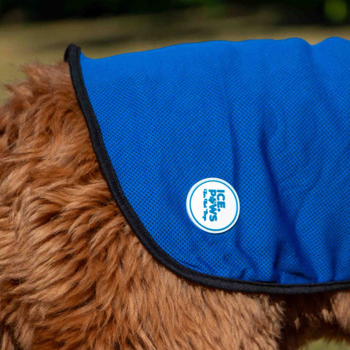 Blue dog coat with a visible brand logo on a brown dog