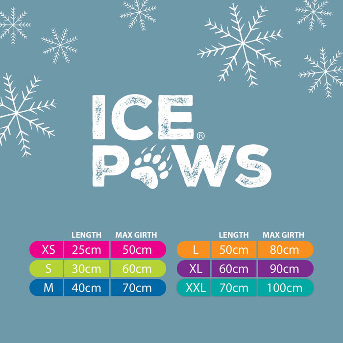 Ice Paws product size chart with snowflake designs on a blue background