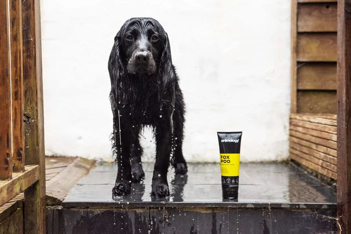 Animology Shampoo & Conditioner