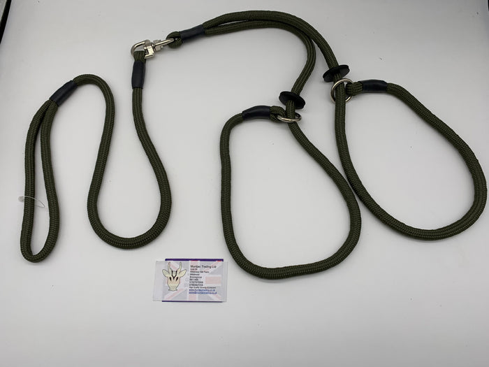 khaki braided dog lead for 2 dogs