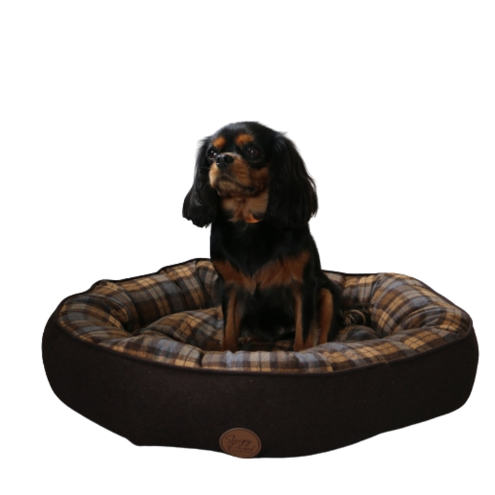 Dog sitting on a plaid pet bed with a white background