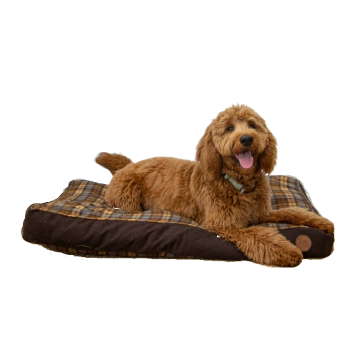 Dog lying on a plaid pet bed with a white background