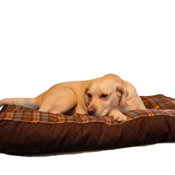 Dog lying on a brown and plaid dog bed against a white background