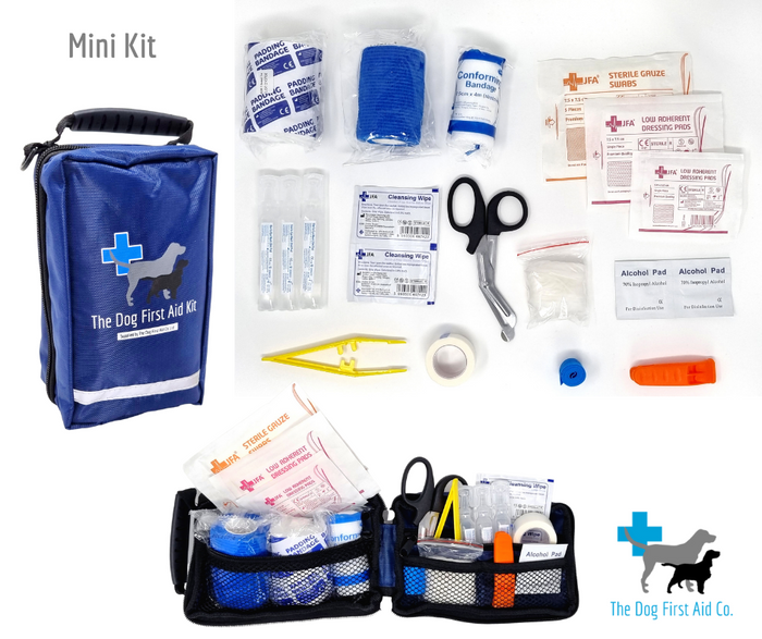 dog first aid kit contents