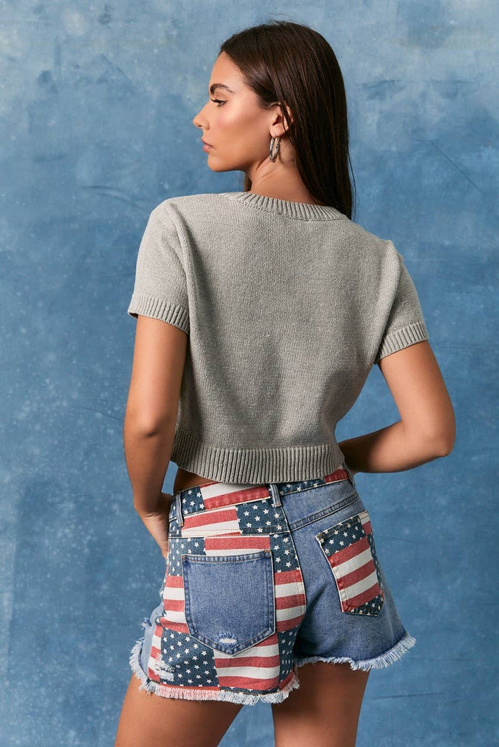 "DOG WITH FLAG" GRAPHIC SHORT SLEEVE CREW NECK SWEATER TOP: H GREY / S