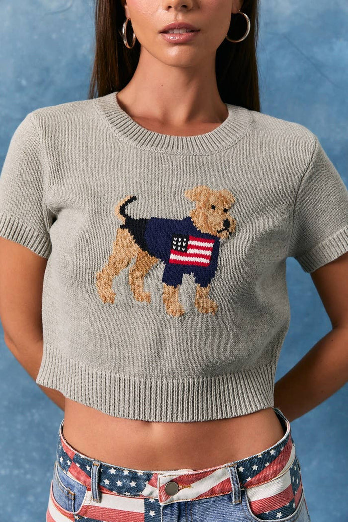 "DOG WITH FLAG" GRAPHIC SHORT SLEEVE CREW NECK SWEATER TOP: H GREY / S