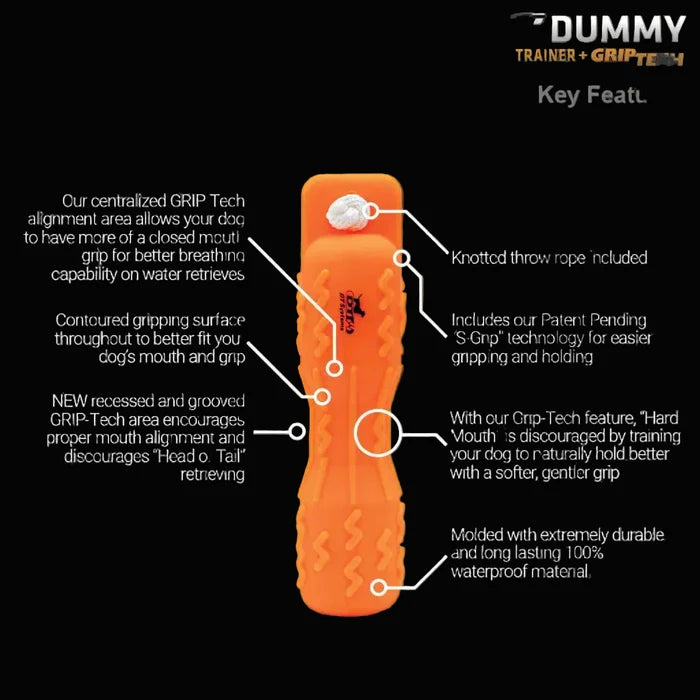 Orange dog training tool with features highlighted on a black background, branded as DT Systems.