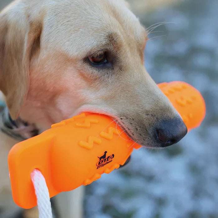 Dog holding an orangedummy with a blurred background