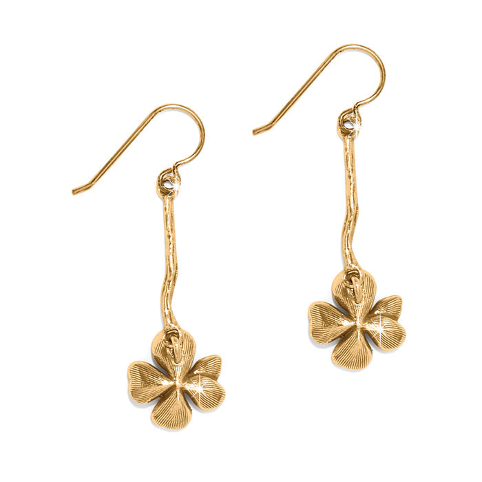 Everbloom Windflower French Wire Earrings /Gold