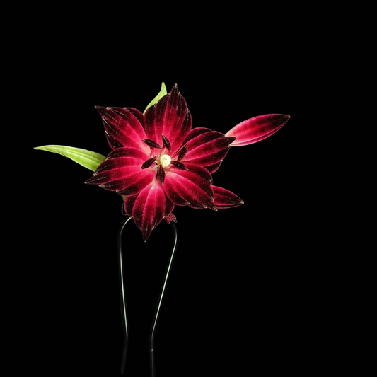 Handmade Ronghua Lily Hair Pin - Natural Mulberry Silk Velvet Flower