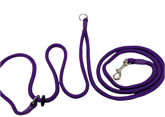 Hands-Free Training Dog Slip Leads 6mm (Jaeger) for smaller dogs