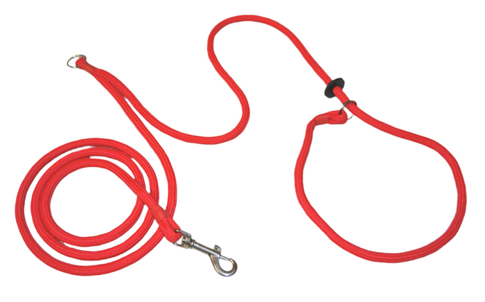 Hands-Free Training Dog Slip Leads 8mm (Jaeger)