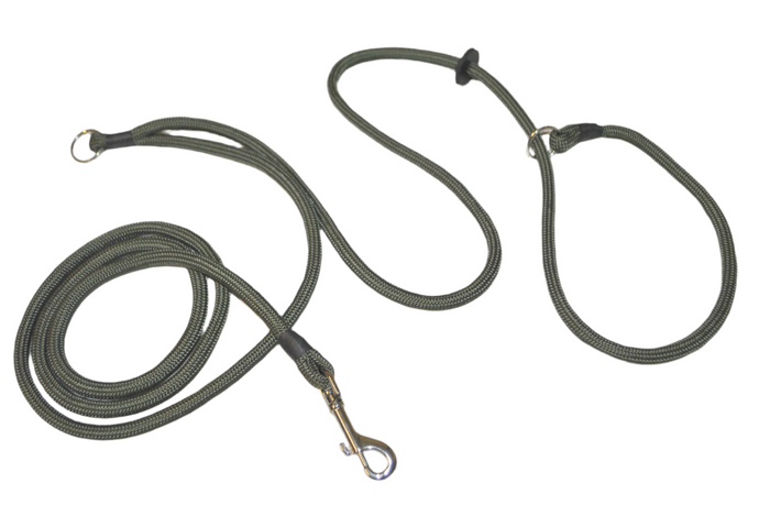 Hands-Free Training Dog Slip Leads 8mm (Jaeger)