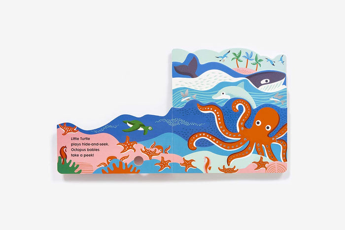 Into the Ocean: A Board Book