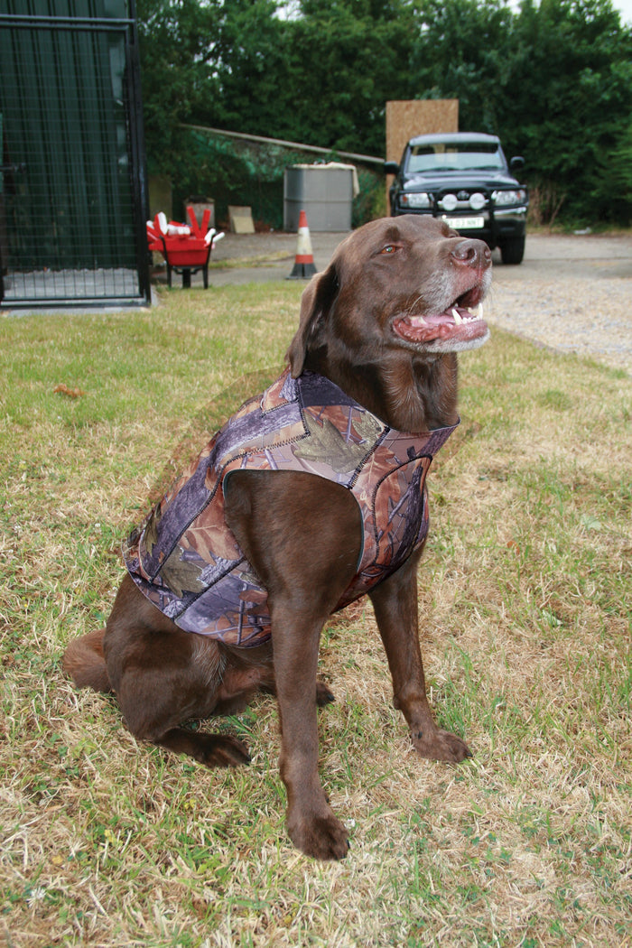 The Jack Pyke Technical Neoprene Dog Vest Gen 2 on a dog, now for sale at Muntjac Trading.