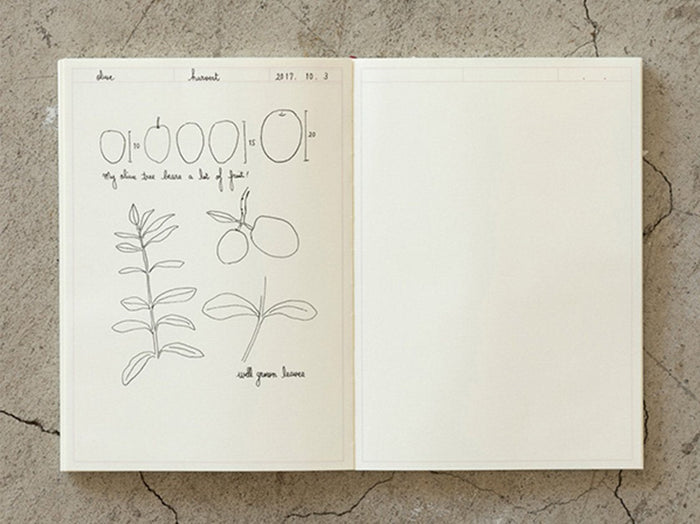 Midori MD Notebook Journal A5 Frame - 192 Pages