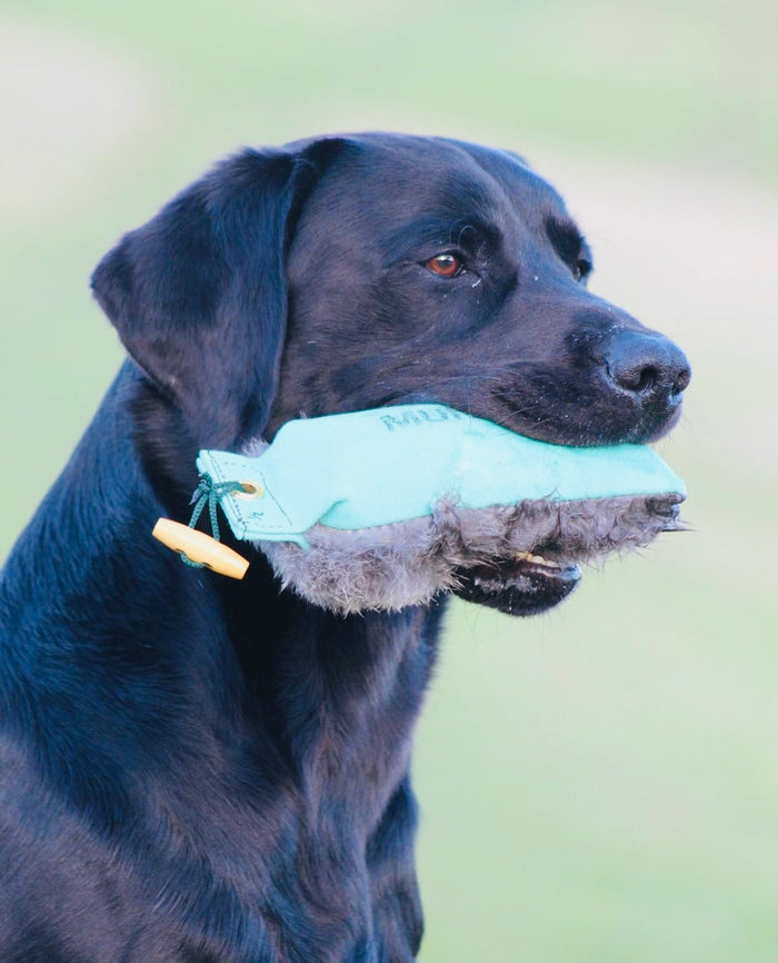 Muntjac® Half Fur Half Canvas Gundog Dummy