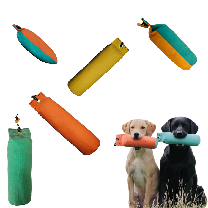 Dog toys in various colors with two dogs playing with them on a white background