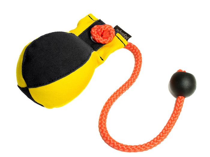 Yellow/Black