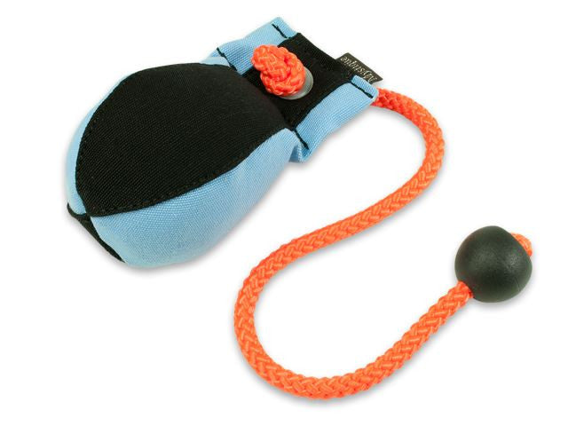 Light Blue/Black