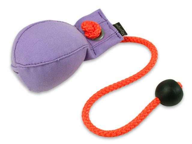purple Canvas dummy ball for dog training