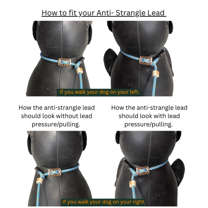 Mystique® 6mm Anti Strangle German Field Trial Moxon Slip Lead