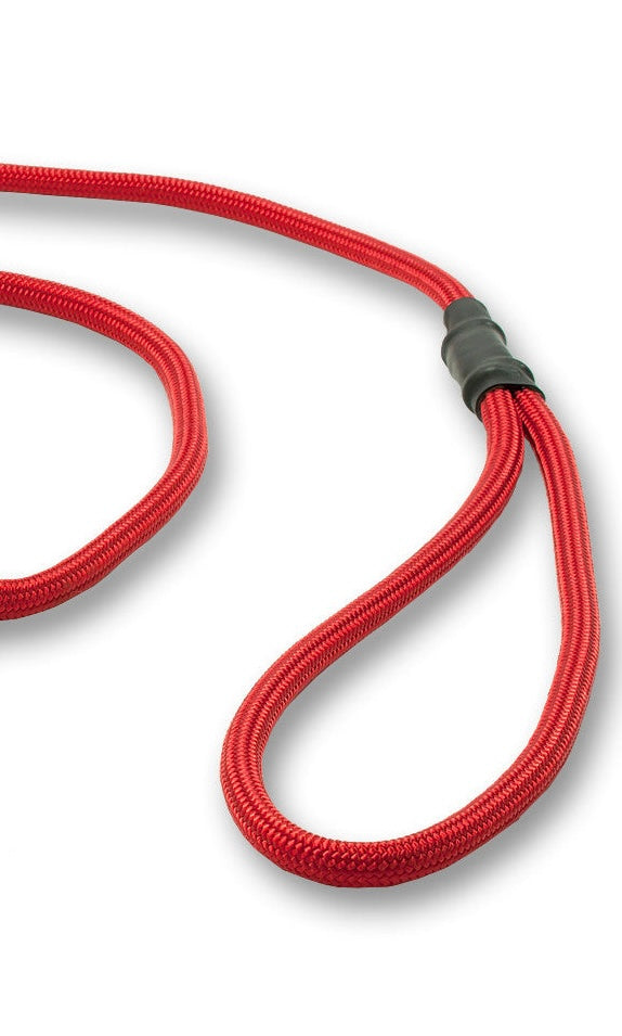 Mystique® 6mm Clip German Field Trial Lead