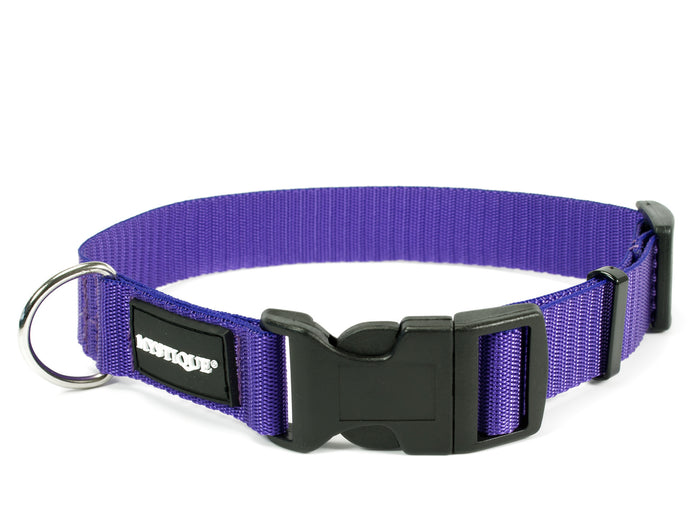 Purple Mystique nylon dog collar