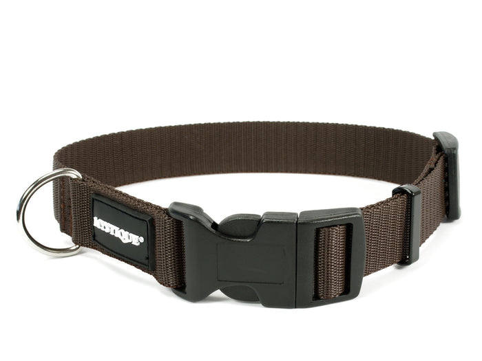 brown Mystique nylon dog collar