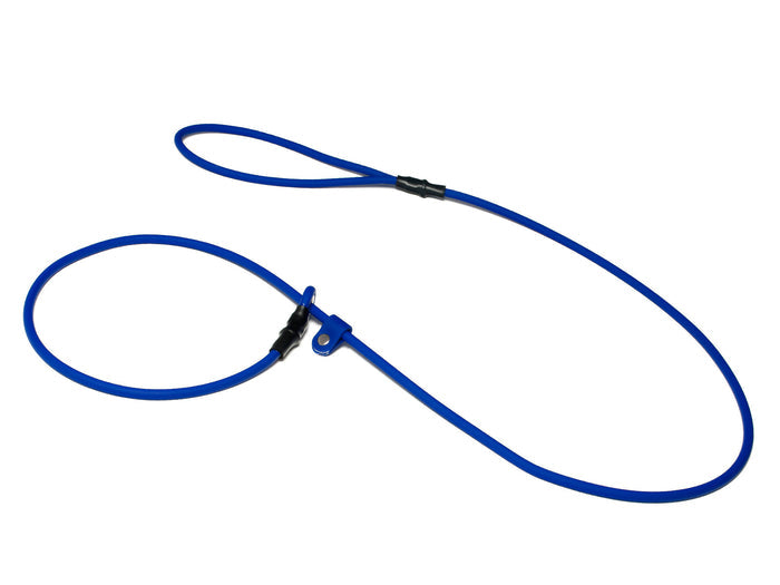 blue Moxon slip gundog lead