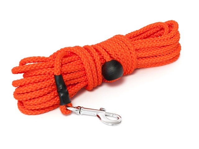 Mystique Nylon Tracking Leash