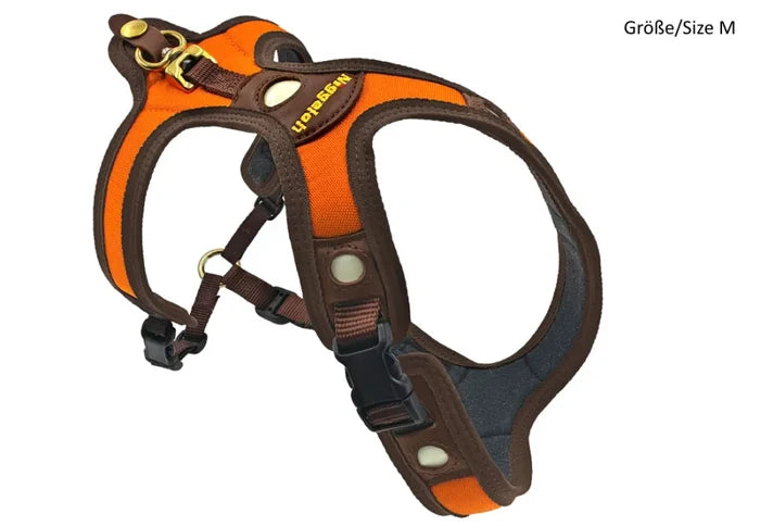 Dog harness with orange and brown design on a white background
