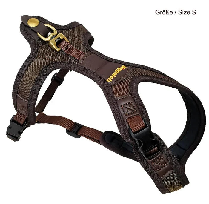 Brown dog harness with gold hardware on a white background