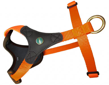 An orange and black Niggeloh Follow Start Harness for dogs, featuring quick release snaps and an adjustable belly strap.
