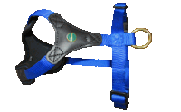 A blue and black Niggeloh Follow Start Harness for dogs, featuring quick release snaps and an adjustable belly strap.