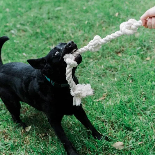 Organic Cotton Dog Rope Toy 1"