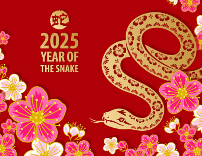 Organic Lunar New Year Bundle