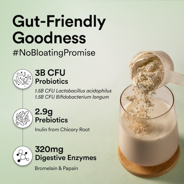 3B CFU probiotics plant protein