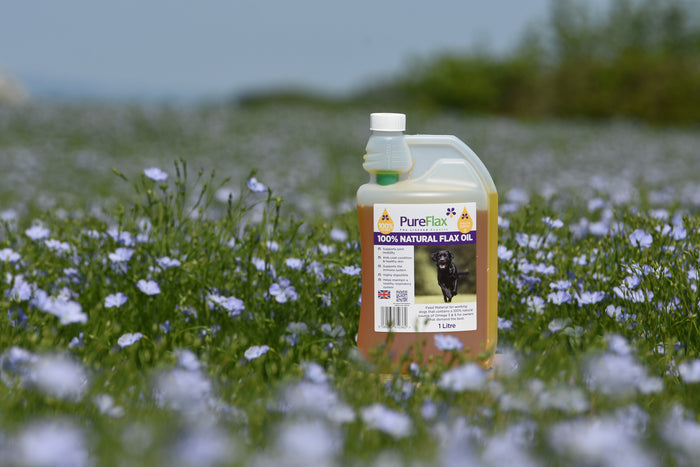 PureFlax Natural Flax Oil for Working Dogs