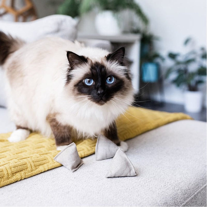 Pyramid Cat Toy